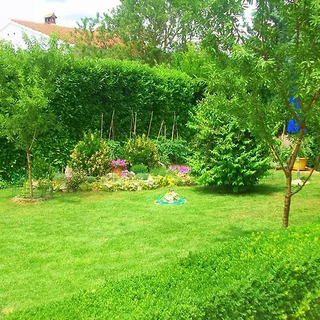 Appartamento Mirna *